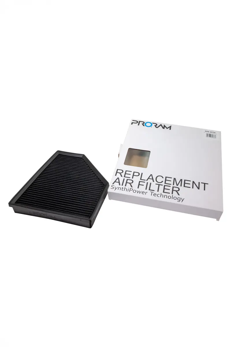 Bmw Z4 G29 Ramair Pleated Air Filter 1