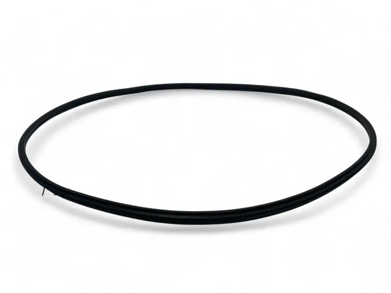 Mini Countryman Front Door Seal New Oem 51339808654 2011-2016 R60 1