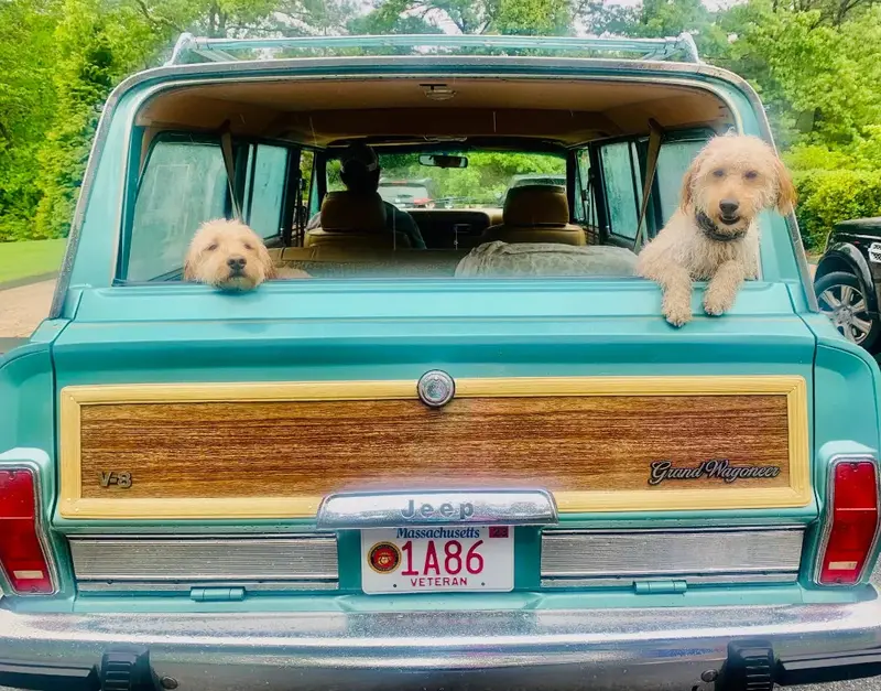 Wagonmaster Woodgrain For Tailgate (1) Piece - Marine Teak For 1987-1991 1